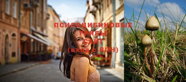 мяу мяу мука Балабаново