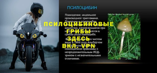 spice Белоозёрский